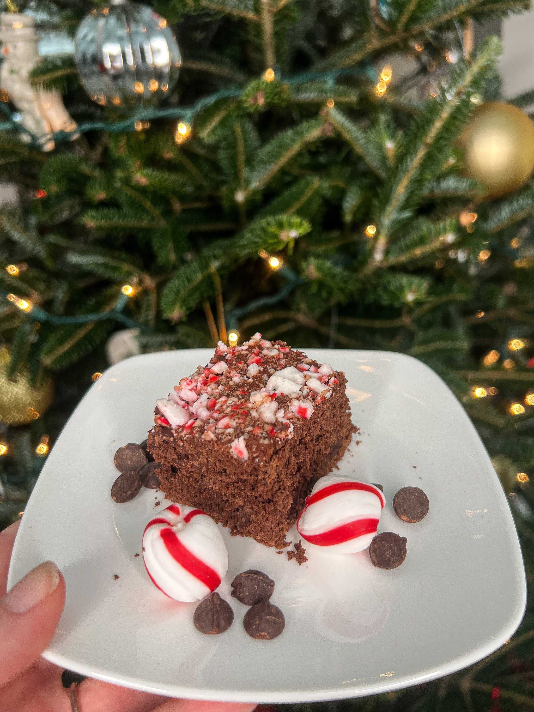 Peppermint Protein Brownies